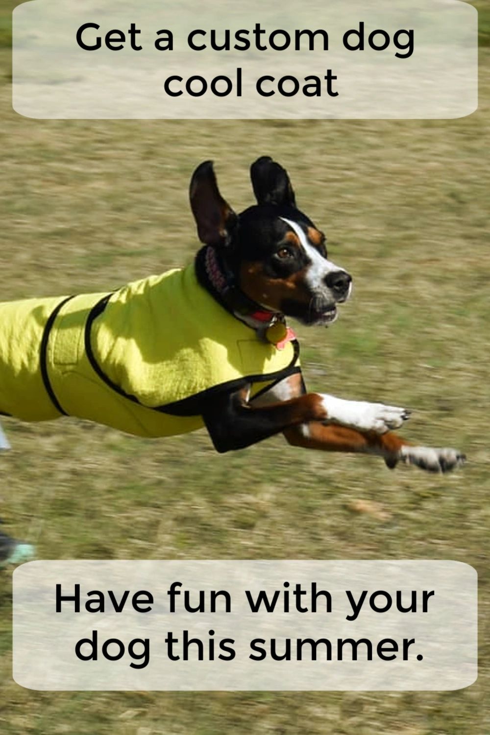 How Does A Dog Cool Coat Work